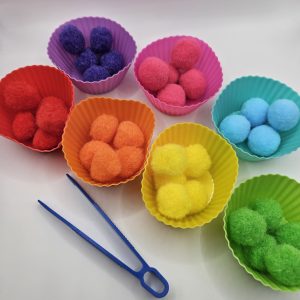 Color Sorting Pom Pom Playset